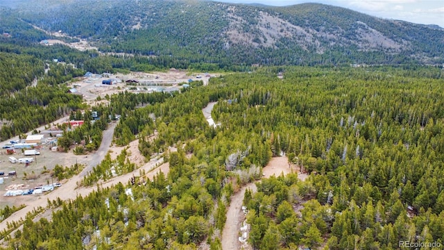 Eva Rd, Idaho Springs, CO 80452