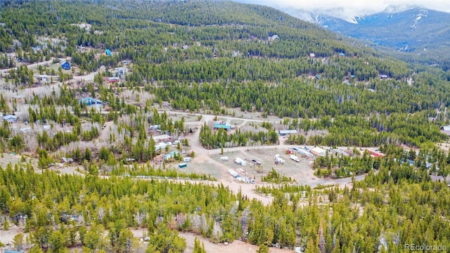 Eva Rd, Idaho Springs, CO 80452