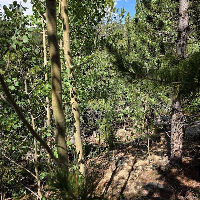 Eva Rd, Idaho Springs, CO 80452