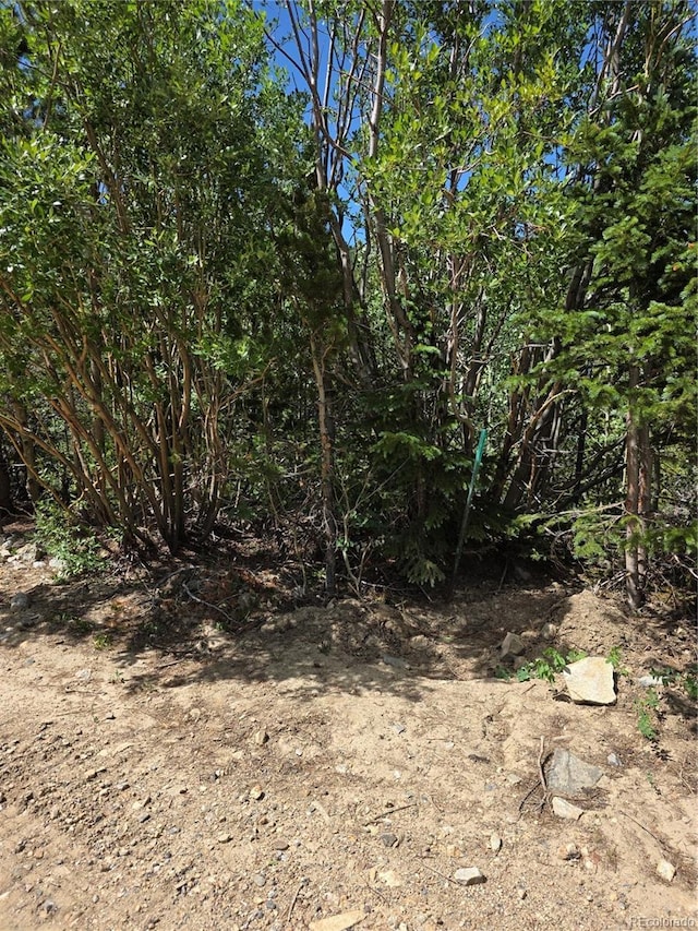Eva Rd, Idaho Springs, CO 80452