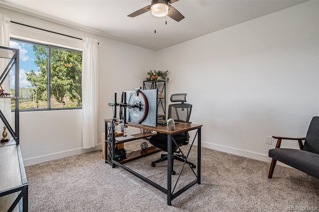1371 Obrien Way, Castle Rock, CO 80109 - photo 25