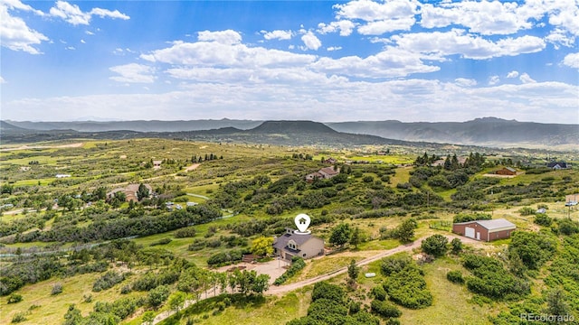 1371 Obrien Way, Castle Rock, CO 80109 - photo 44