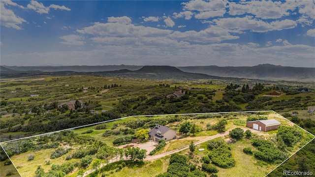 1371 Obrien Way, Castle Rock, CO 80109 - photo 45