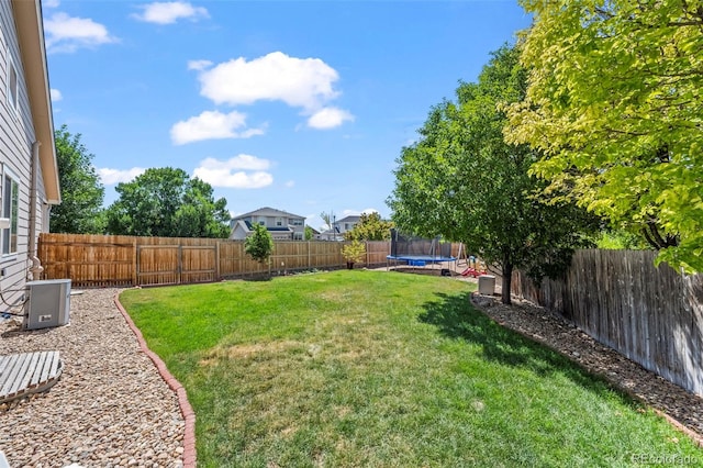 12961 Monaco Way, Thornton, CO 80602 - fenced backyard with a trampoline