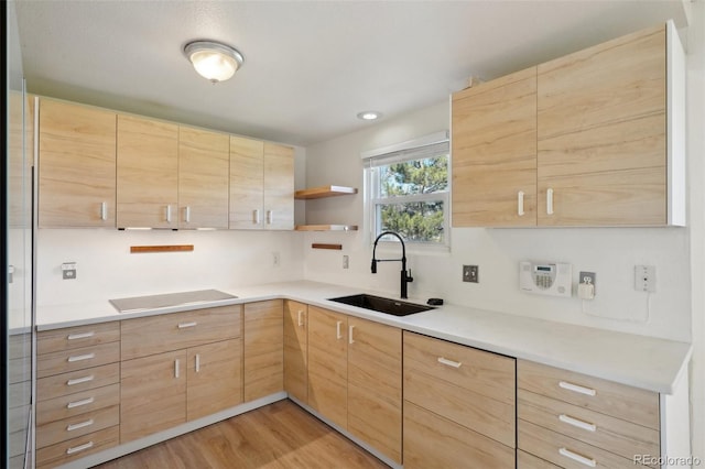 kitchen featuring open shelves, electric cooktop, light wood-style flooring, light brown cabinetry, and a sink