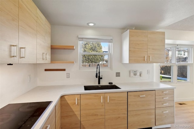 kitchen with light countertops, visible vents, light brown cabinetry, a sink, and black electric cooktop