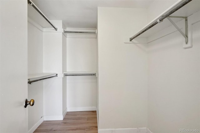 walk in closet with wood finished floors