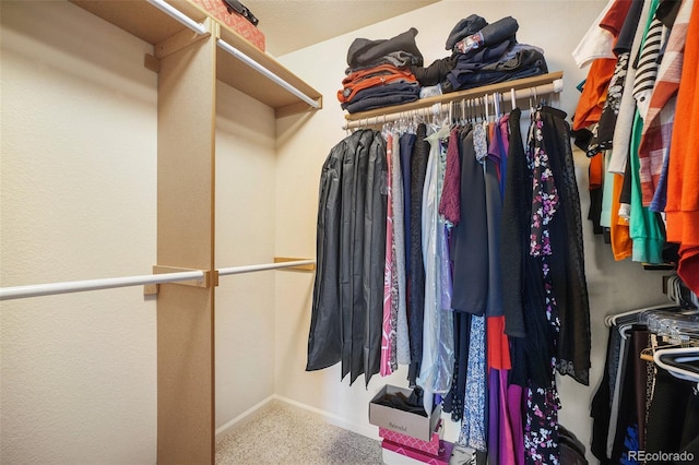 walk in closet with carpet flooring