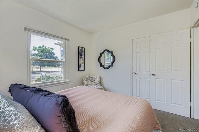 429 13th St, Greeley, CO 80631 - photo 14