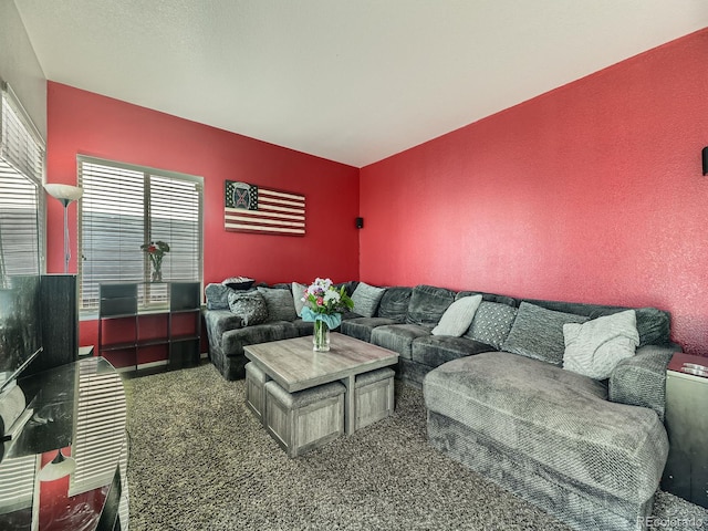 9832 Kenton Cir, Commerce City, CO 80022 - view of carpeted living area
