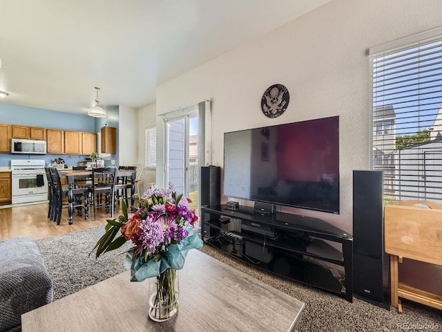 9832 Kenton Cir, Commerce City, CO 80022 - view of living room