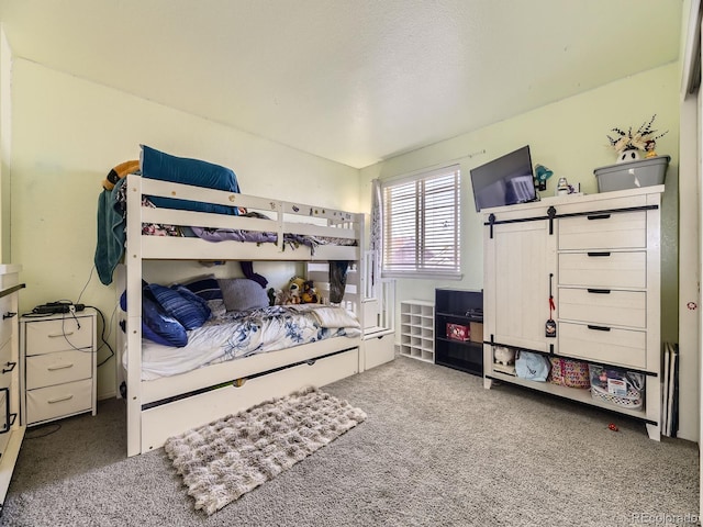 9832 Kenton Cir, Commerce City, CO 80022 - view of carpeted bedroom
