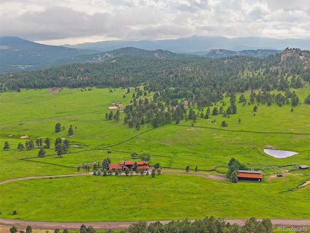 5939 Lone Peak Dr, Evergreen, CO 80439 - photo 5