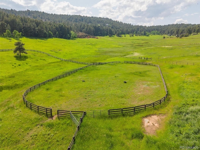 5939 Lone Peak Dr, Evergreen, CO 80439 - photo 6