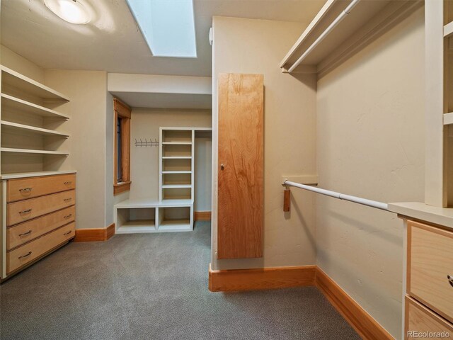 5939 Lone Peak Dr, Evergreen, CO 80439 - photo 32