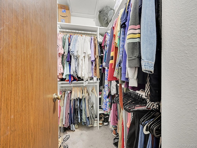 spacious closet with carpet floors