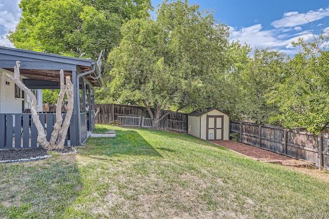 view of yard with a storage shed