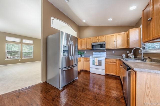 389 N 18th Ct, Brighton, CO 80601 - photo 13