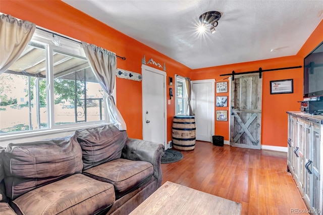 3151 N Elizabeth St, Denver, CO 80205 - living room with a barn door and wood finished floors