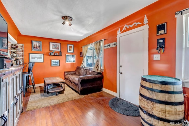 3151 N Elizabeth St, Denver, CO 80205 - living area featuring hardwood / wood-style flooring