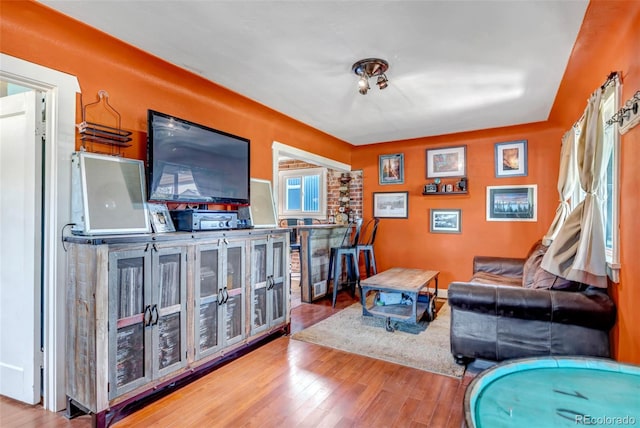 3151 N Elizabeth St, Denver, CO 80205 - living room featuring wood finished floors