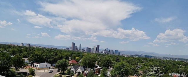 3151 N Elizabeth St, Denver, CO 80205 - skyline view featuring a mountainous background