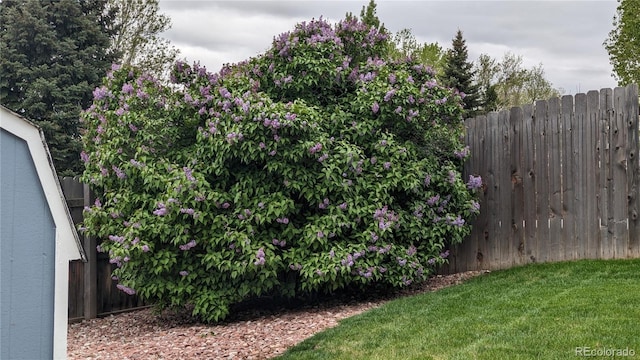 1786 Wintergreen Pl, Loveland, CO 80537 - view of yard featuring fence