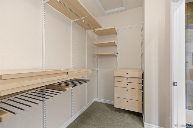spacious closet with dark colored carpet