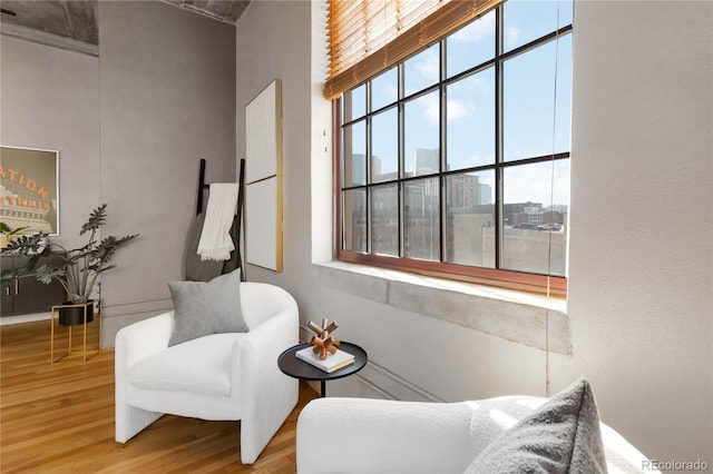 living area featuring hardwood / wood-style flooring, a healthy amount of sunlight, and a towering ceiling