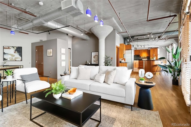 living room featuring rail lighting and light hardwood / wood-style floors