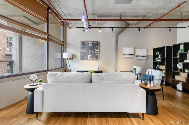 living room with hardwood / wood-style flooring and rail lighting