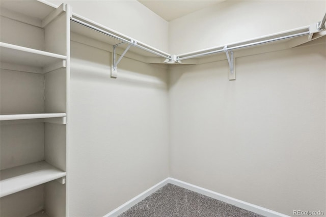 3823 Horiuchi St, Brighton, CO 80601 - spacious closet featuring carpet