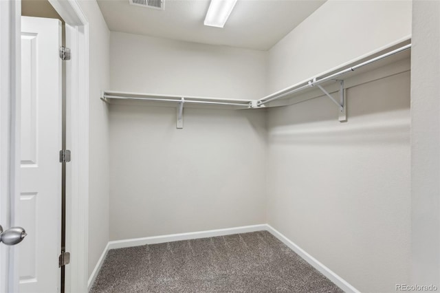 3823 Horiuchi St, Brighton, CO 80601 - walk in closet featuring carpet