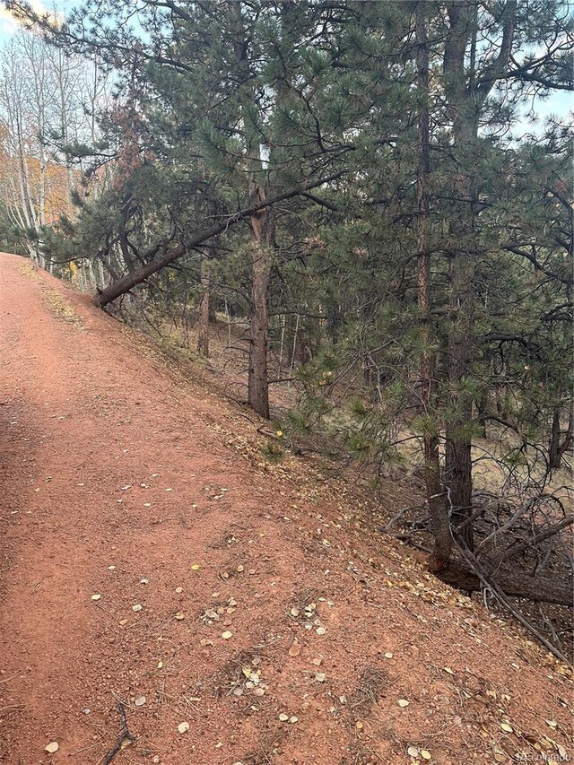 418 Valley Rd, Divide, CO 80814