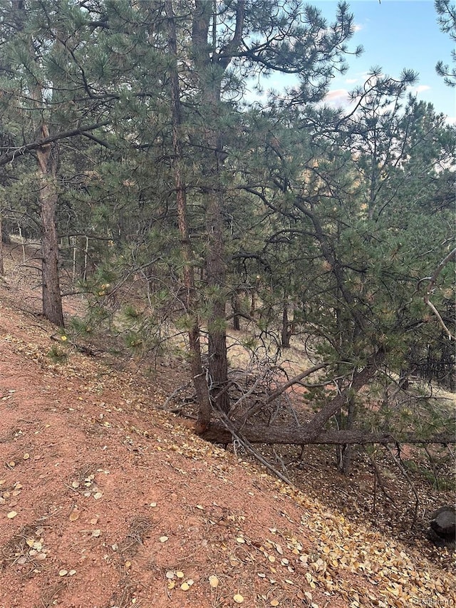 418 Valley Rd, Divide, CO 80814