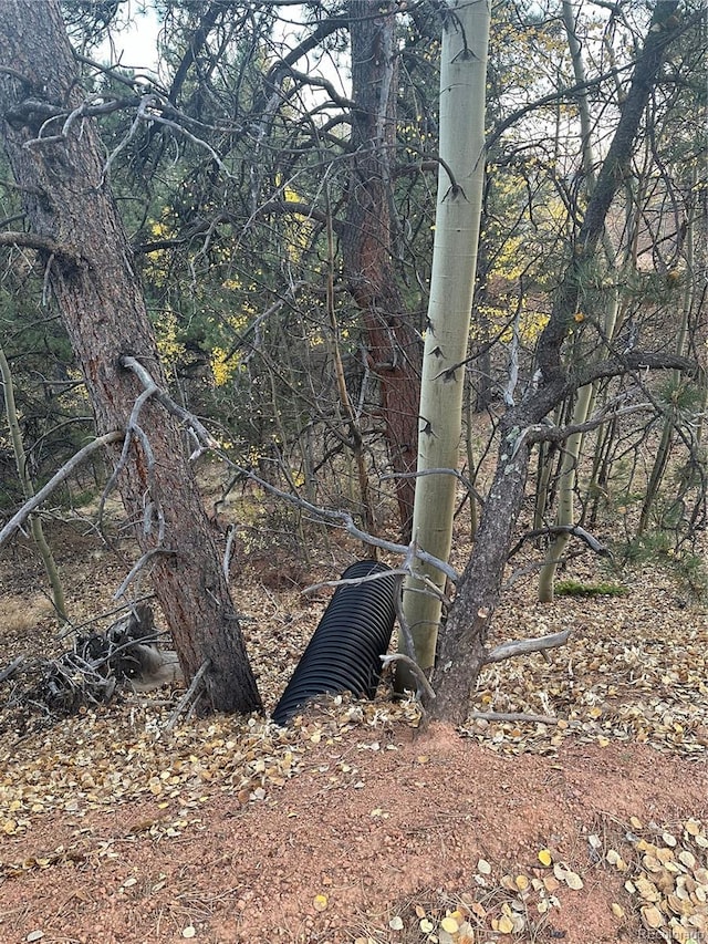 418 Valley Rd, Divide, CO 80814