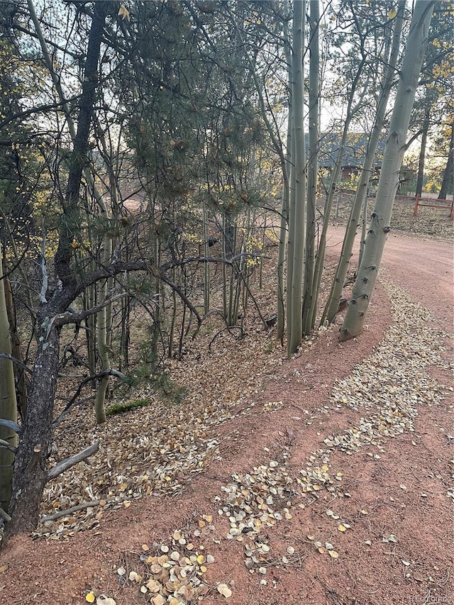 418 Valley Rd, Divide, CO 80814