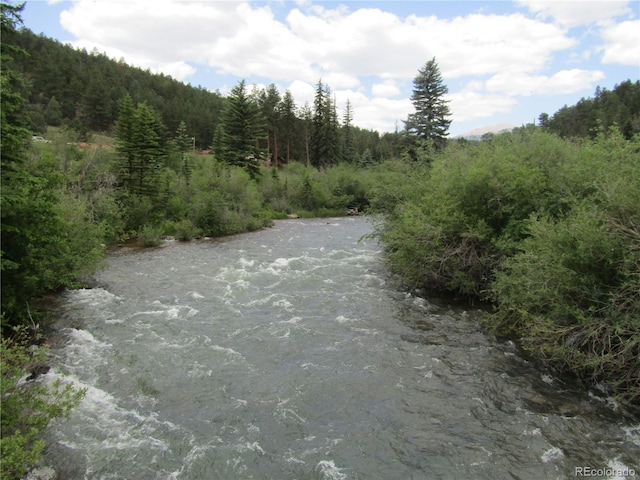 57920 US Highway 285 Unit 10, Bailey, CO 80421 - water view featuring a forest