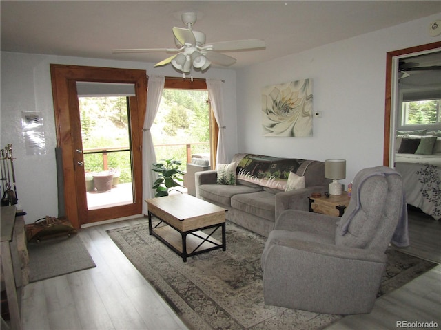 57920 US Highway 285 Unit 10, Bailey, CO 80421 - living room featuring plenty of natural light, a ceiling fan, and light wood-style floors