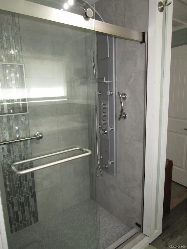 57920 US Highway 285 Unit 10, Bailey, CO 80421 - full bath featuring a shower stall and wood finished floors