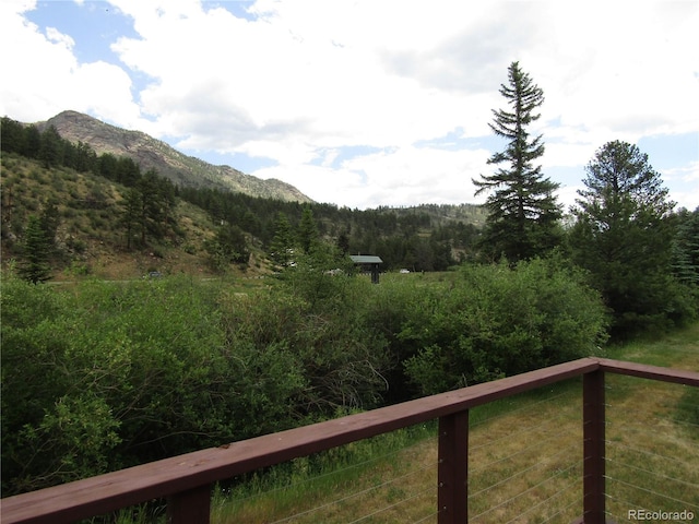 57920 US Highway 285 Unit 10, Bailey, CO 80421 - view of mountain background featuring a forest