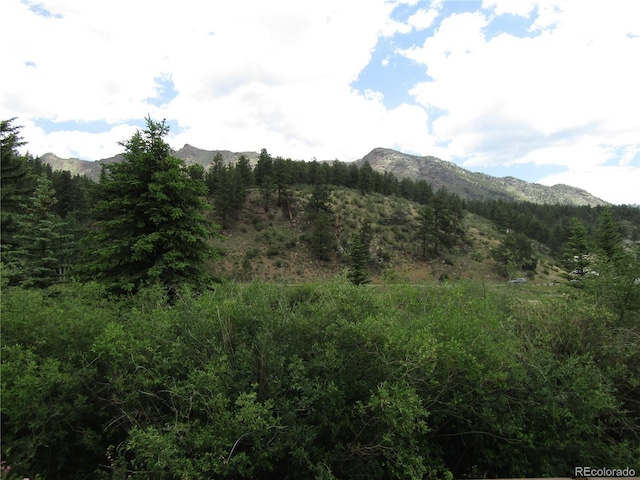 57920 US Highway 285 Unit 10, Bailey, CO 80421 - mountain view with a forest