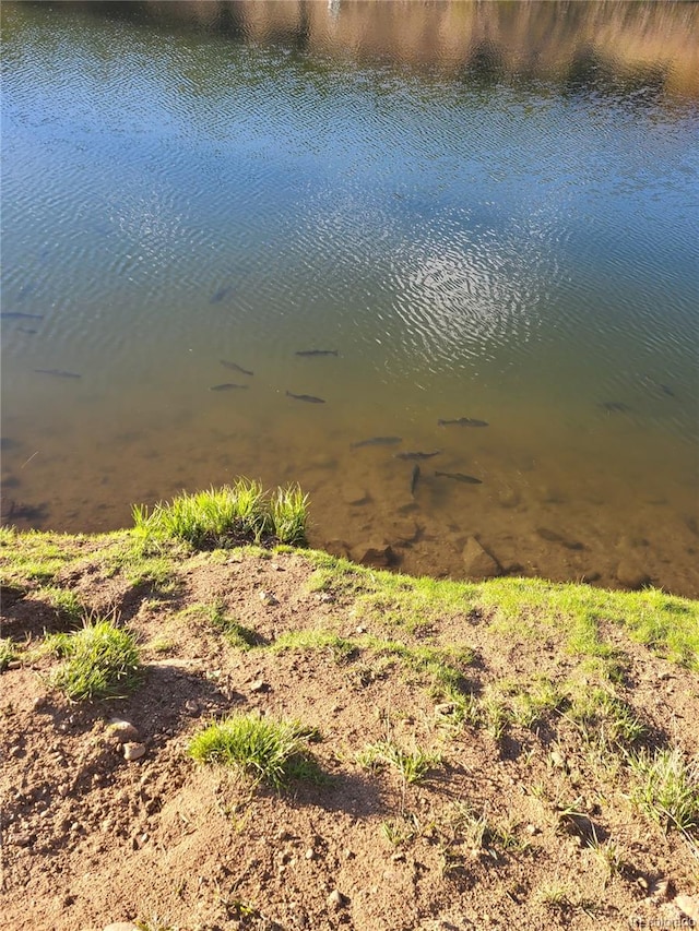 57920 US Highway 285 Unit 10, Bailey, CO 80421 - water view