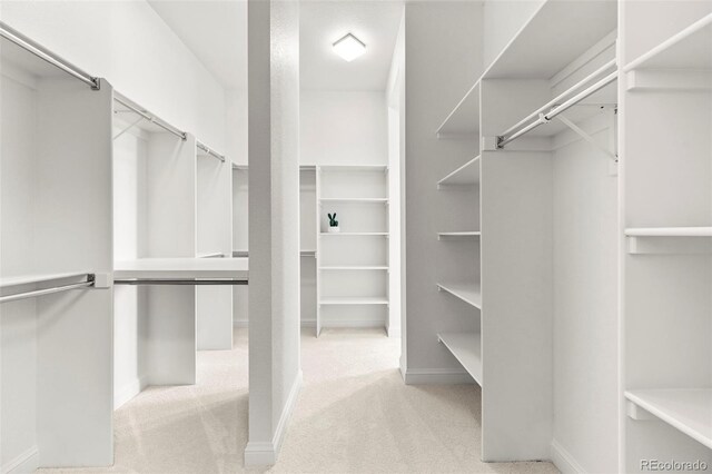 9510 Orion Way, Arvada, CO 80007 - walk in closet with light colored carpet