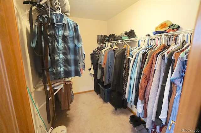 spacious closet featuring carpet floors