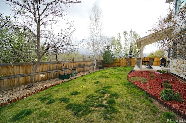 view of yard with a fenced backyard and a patio
