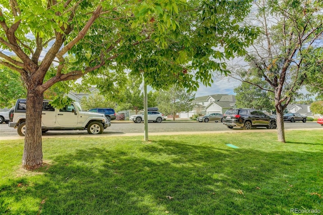 view of yard featuring a residential view