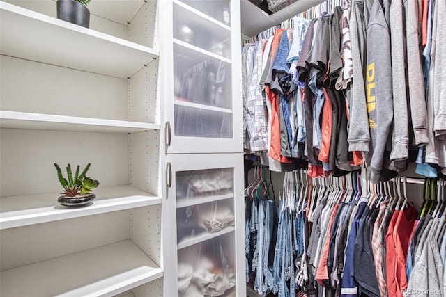 view of walk in closet