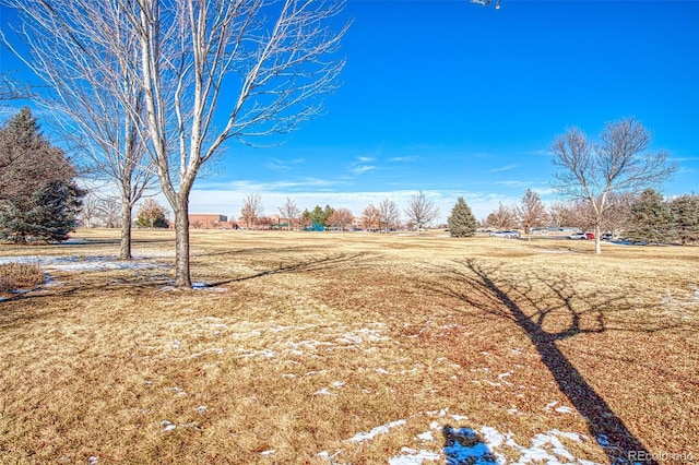 view of yard with a rural view