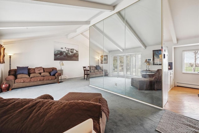 carpeted living area with a baseboard radiator and wood finished floors